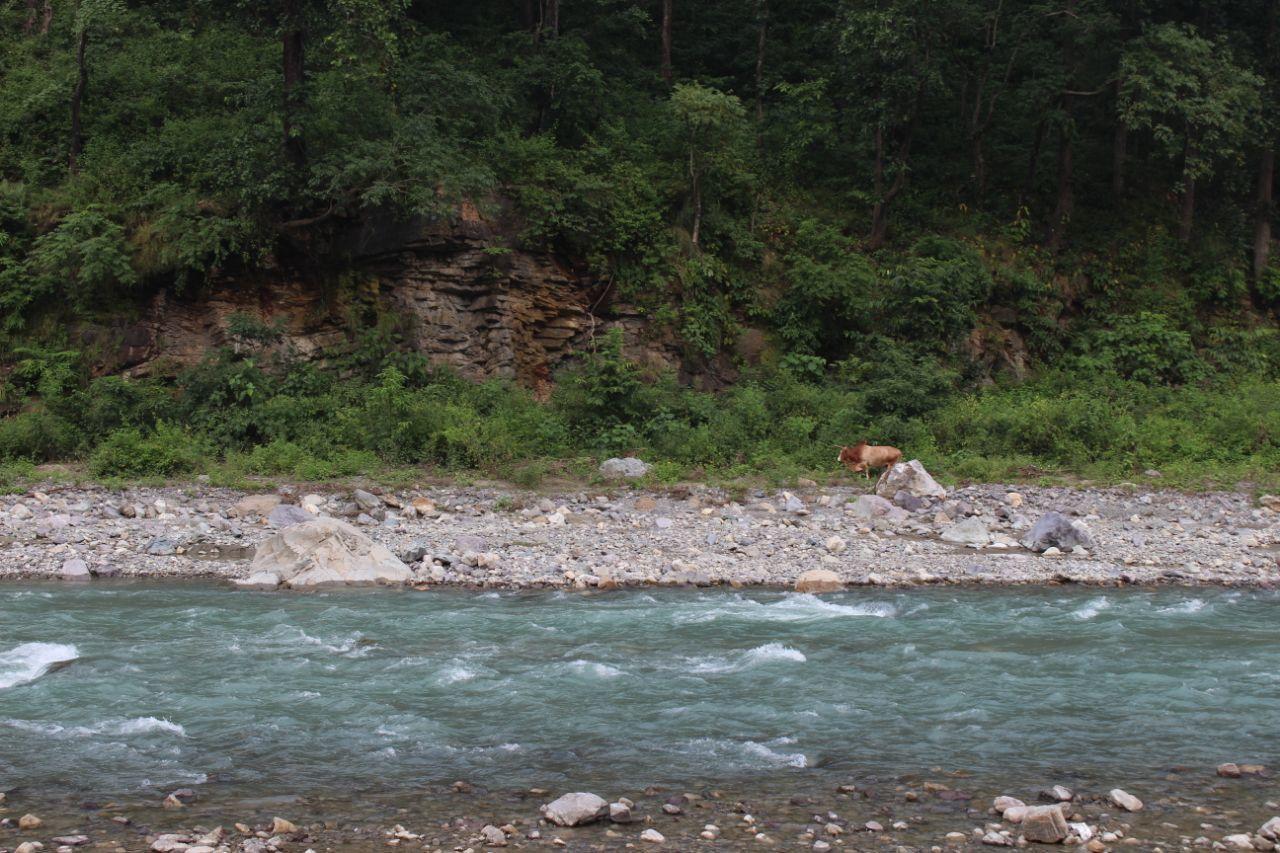 Rattapani Resort Rishīkesh Buitenkant foto